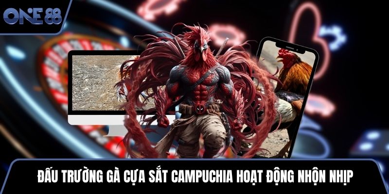 Đấu trường gà cựa sắt Campuchia hoạt động nhộn nhịp
