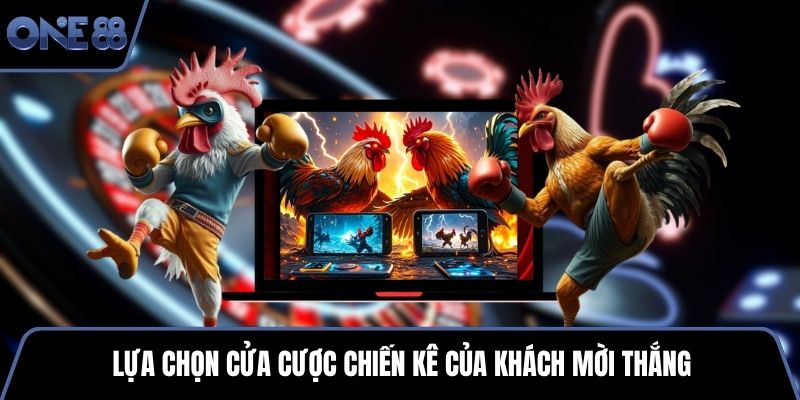 Lựa chọn cửa cược chiến kê của khách mời thắng