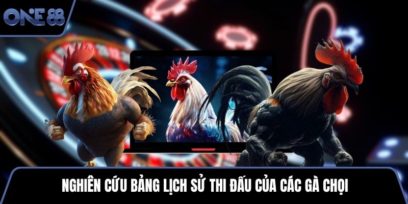 Nghiên cứu bảng lịch sử thi đấu của các gà chọi