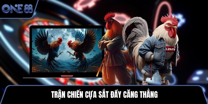 Trận chiến cựa sắt đầy căng thẳng
