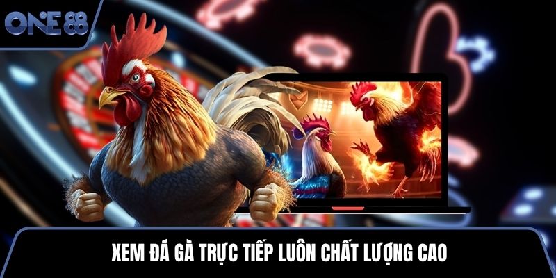Xem đá gà trực tiếp luôn chất lượng cao