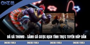 Đá Gà Thomo - Sảnh Cá Cược Kịch Tính Trực Tuyến Hấp Dẫn